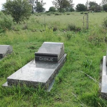 Free State, KOPPIES district, Cornelia 117, farm cemetery