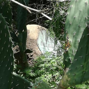 STEPHENS Charles Arthur -1923