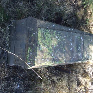 HERBST Johannes Stephanus 1843-1928