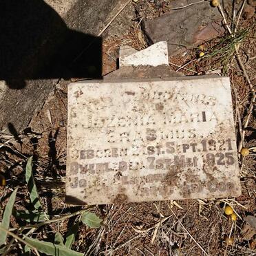 E - Surnames :: Vanne - E