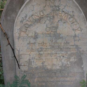 GODWIN George Glendower 1911-1911