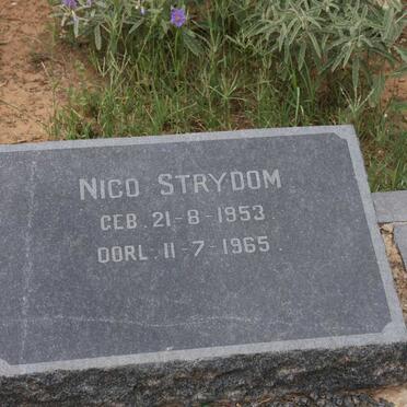 STRYDOM Nico 1953-1965