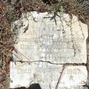 TULLY Hannah 1899-1899 :: TULLY Ethel 1905-1907 :: TULLY Basil 1908-1909