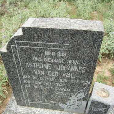 WALT Anthonie Johannes, van der 1937-1959