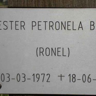 BRITS Hester Petronella 1972-1972