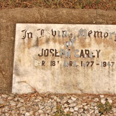 CAREY Joseph 1877-1947