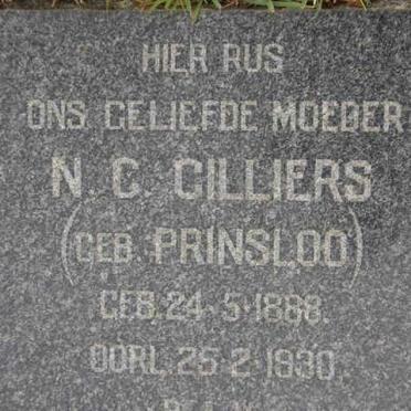 CILLIERS N.G. nee PRINSLOO 1888-1930