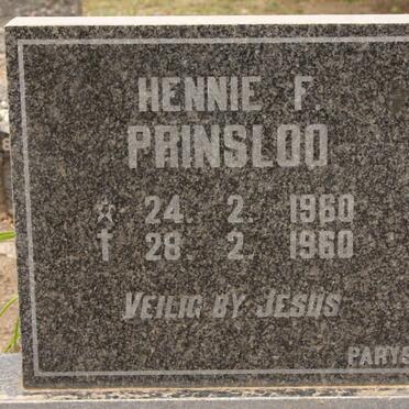 PRINSLOO Hennie F. 1960-1960