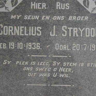 STRYDOM Cornelius J. 1936-1958