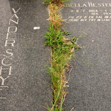 SCHYFF Izak Jacobus, van der 1901-1968 &amp; Isabella Hester Cecilia PIEK 1904-1990