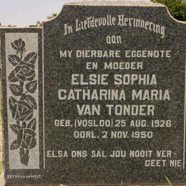 T - Vanne :: Surnames - T