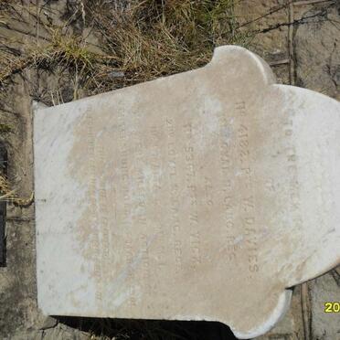 DAVIES W. -1901 :: VICK W. -1901