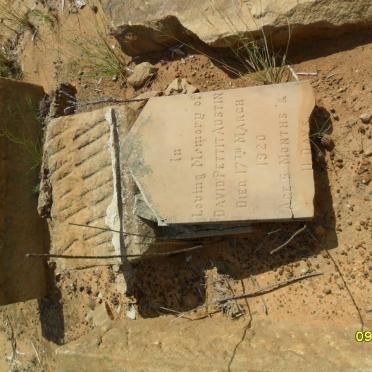 AUSTIN David Pettit -1920