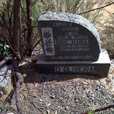 D'OLIVEIRA Annie Maria 1869-1947