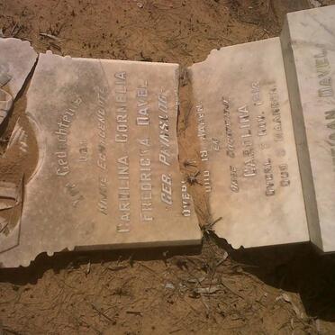 DAVEL Carolina Cornelia Fredricka nee PRINSLOO :: DAVEL Carolina -1913