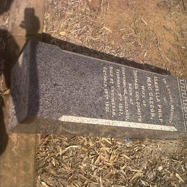 GOLDSMITH Isabella Philp MacGregor 1867-1901