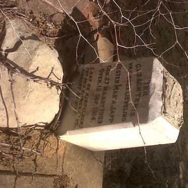 JAPP Hester Maria 1909-1914