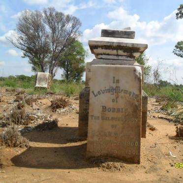 KING Bobbie 1900-1901