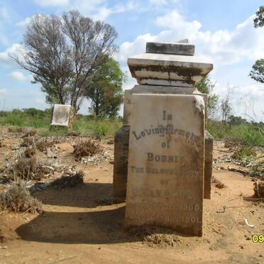 KING Bobbie 1900-1901