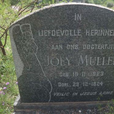 MULLER Joey 1923-1924