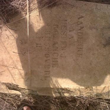 TERBLANCHE Hester J.