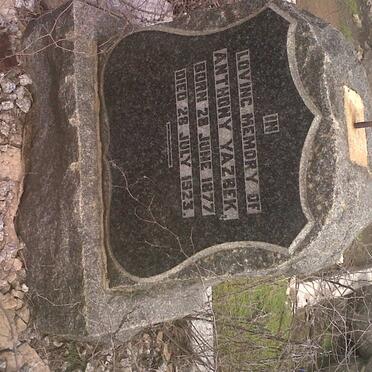 YAZBEK Anthony 1877-1923