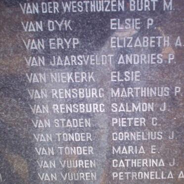 142. People over the age of 15 years