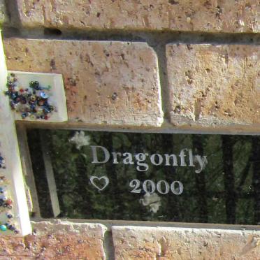 Dragonfly 2000