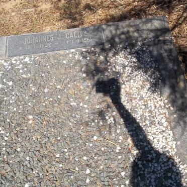 CALITZ Johannes J. 1892-1961