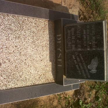 DEYSEL Wesley Jurie 1986-1987