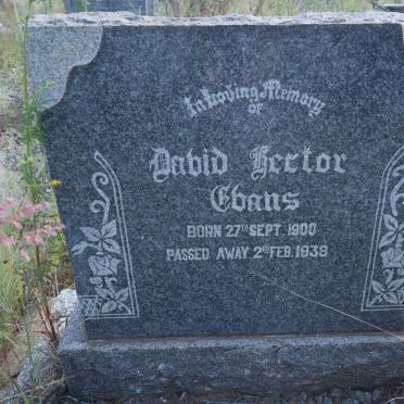 E - Surnames :: Vanne - E