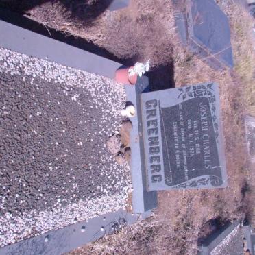 GREENBERG Joseph Charles 1908-1975