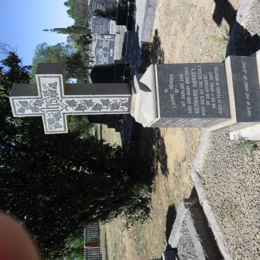 Ha - Surnames starting with the letters Ha