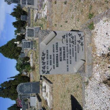 NEETHLING Frederik Ryk Ludolph 1869-1935 &amp; Hendrina Louisa PRINSLOO 1875-1951