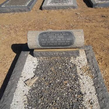 ROOD Pieter 1956-1969