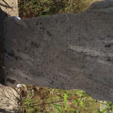 STEYN Maria A.D. nee COETZEE 1874-1942