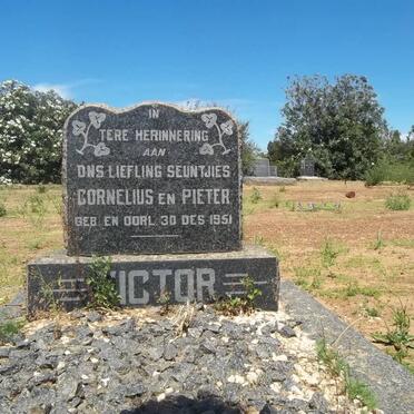 VICTOR Cornelius 1951-1951 :: VICTOR Pieter 1951-1951
