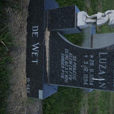 WET Luzaan, de 1994-1994