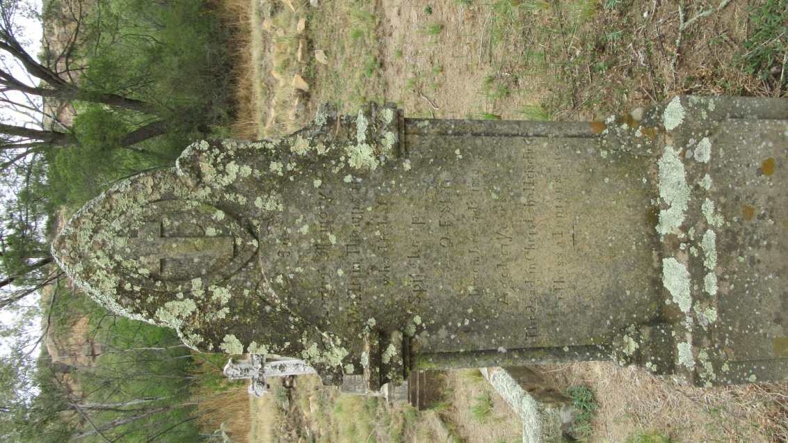 THOMPSON William -1882