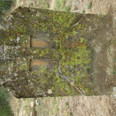 DRAPER Richard Withers -1897