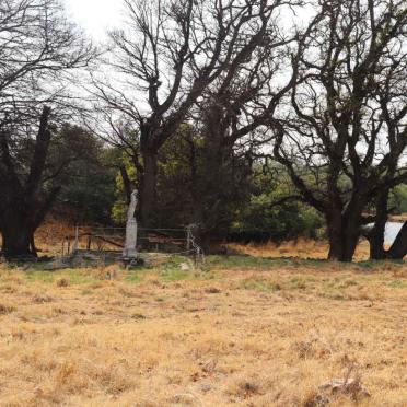 1. Overview / Oorsig