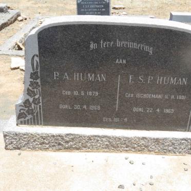 HUMAN P.A. 1879-1968 &amp; F.S.P. SCHOEMAN 1881-1965