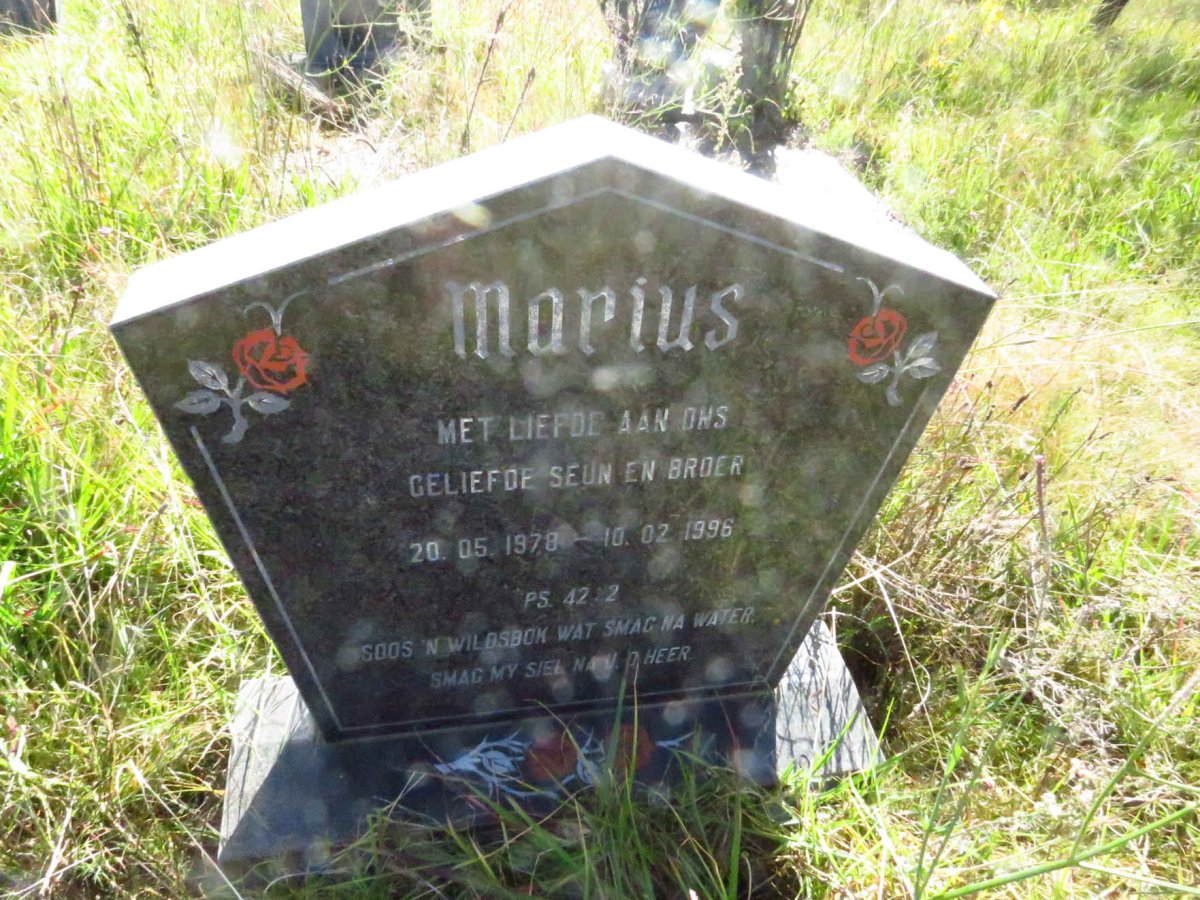 ? Marius 1978-1996
