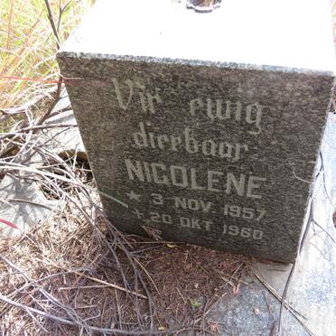 ? Nicolene 1957-1960