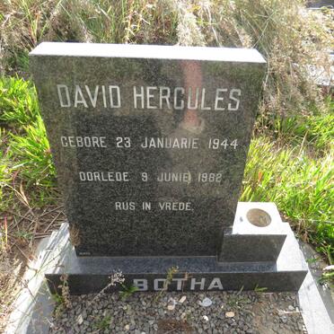 BOTHA David Hercules 1944-1982