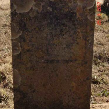 CAALSEN Magdalena Elizabeth nee LUBBE 1876-1933