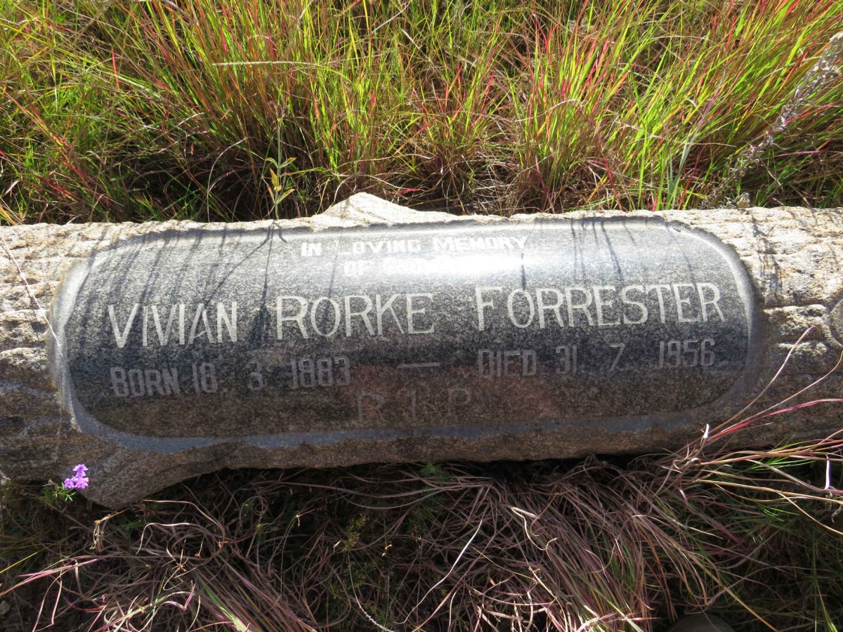 FORRESTER Vivian Rorke 1883-1956