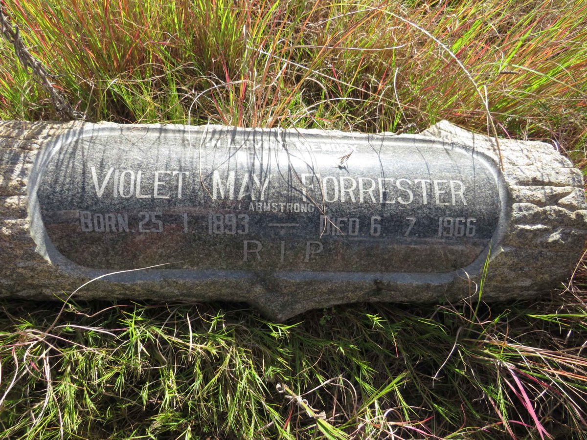 FORRESTER Violet May nee ARMSTRONG 1893-1966