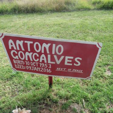 GONCALVES Antonio 1953-2016