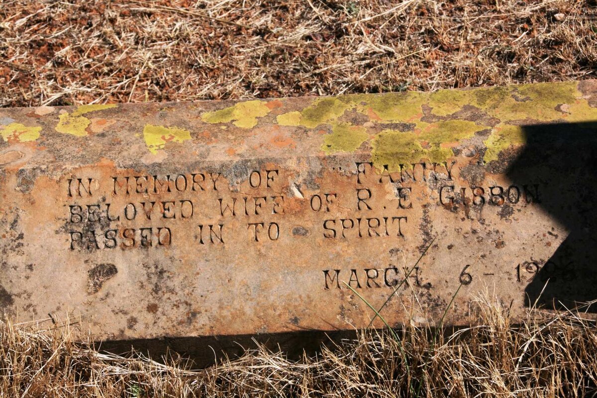 GIBBON Fanny 1852-1926